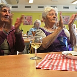 Harmonika ke svátku matek  9