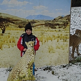 28070943 569144853451510 4227442211978272584 o