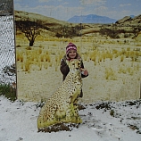 28164336 569144333451562 4804355443365344083 o