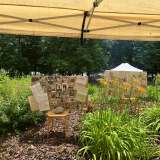 Obrázek WhatsApp, 2024-06-07 v 13.42.49_fc9b9887.jpg