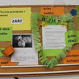 Aktivizační činnosti 2015  18