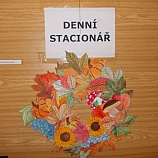 Aktivizační činnosti 2015  26