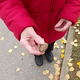 Aktivizační činnosti 2015  28