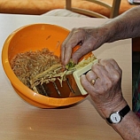 Život v domově 2015  15