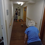 Sportovní aktivity 2016  5