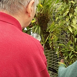 Výstava orchidejí  7