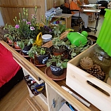 Zahradní terapie  11