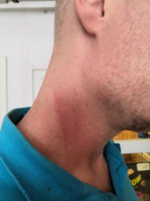 Tisková zpráva k bezprecedentnímu napadení našeho zaměstnance Městskou policií