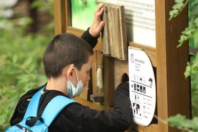 Tábor v přírodě pro děti z azylového domu