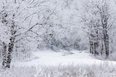 Horké židle v NADĚJI