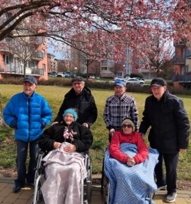 DENNÍ STACIONÁŘ: JARNÍ PROCHÁZKA