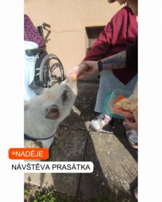 NETRADIČNÍ NÁVŠTĚVA 