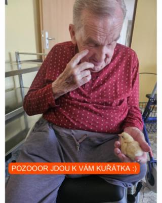 V NETRADIČNÍCH NÁVŠTĚVÁCH TRHÁME REKORDY