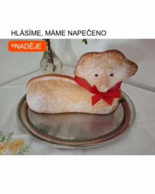 HLÁSÍME NAPEČENO 