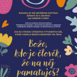 Soutěžní výtvarná přehlídka