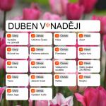 PROGRAM DUBEN