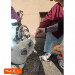 NETRADIČNÍ NÁVŠTĚVA 