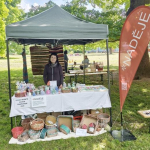 Veletrh neziskových organizací rozzářil Střelecký ostrov
